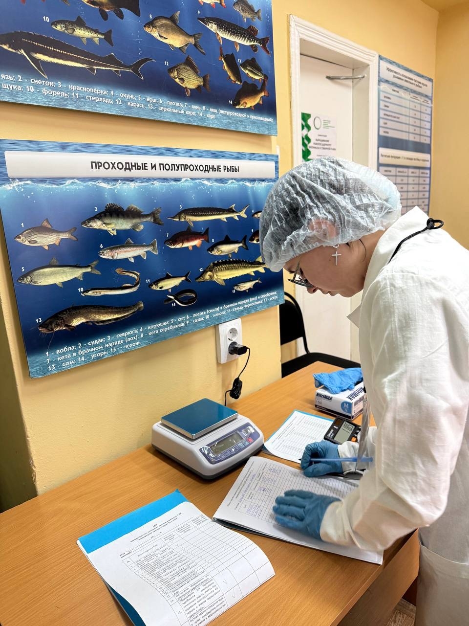 Агробиотехнологический колледж