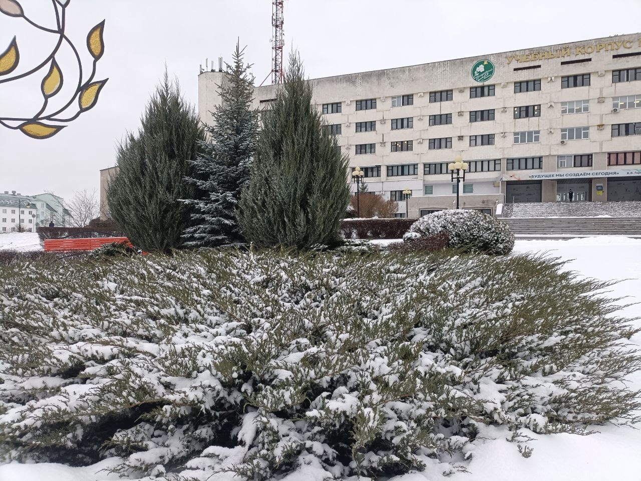 Экономический факультет